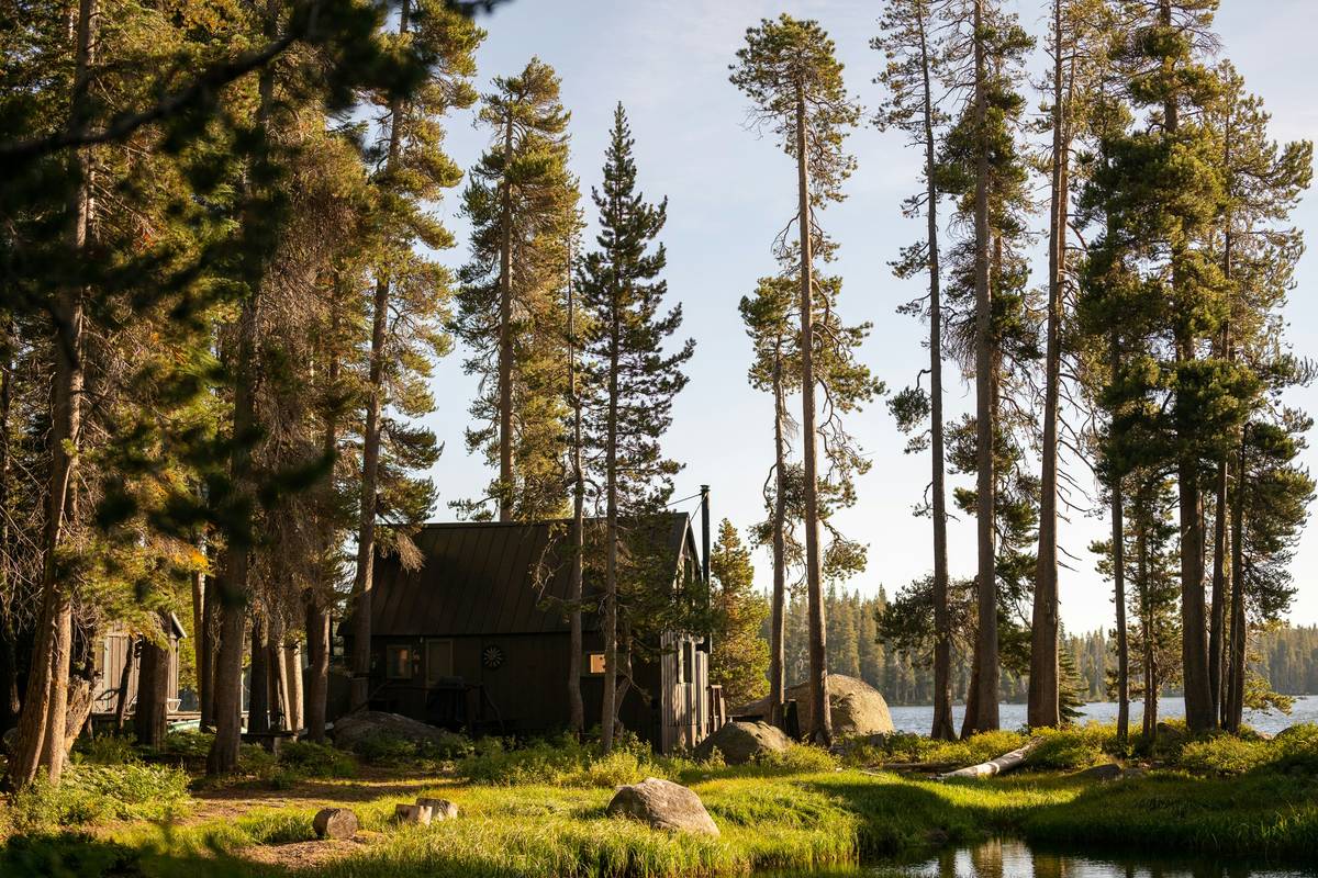 Modern cabin rentals with floor-to-ceiling windows overlooking forest