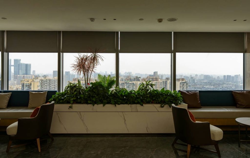 Urban Apartment Rentals: Your Smart, Stylish & Stress-Free City Escape (Without the Hotel Markup)