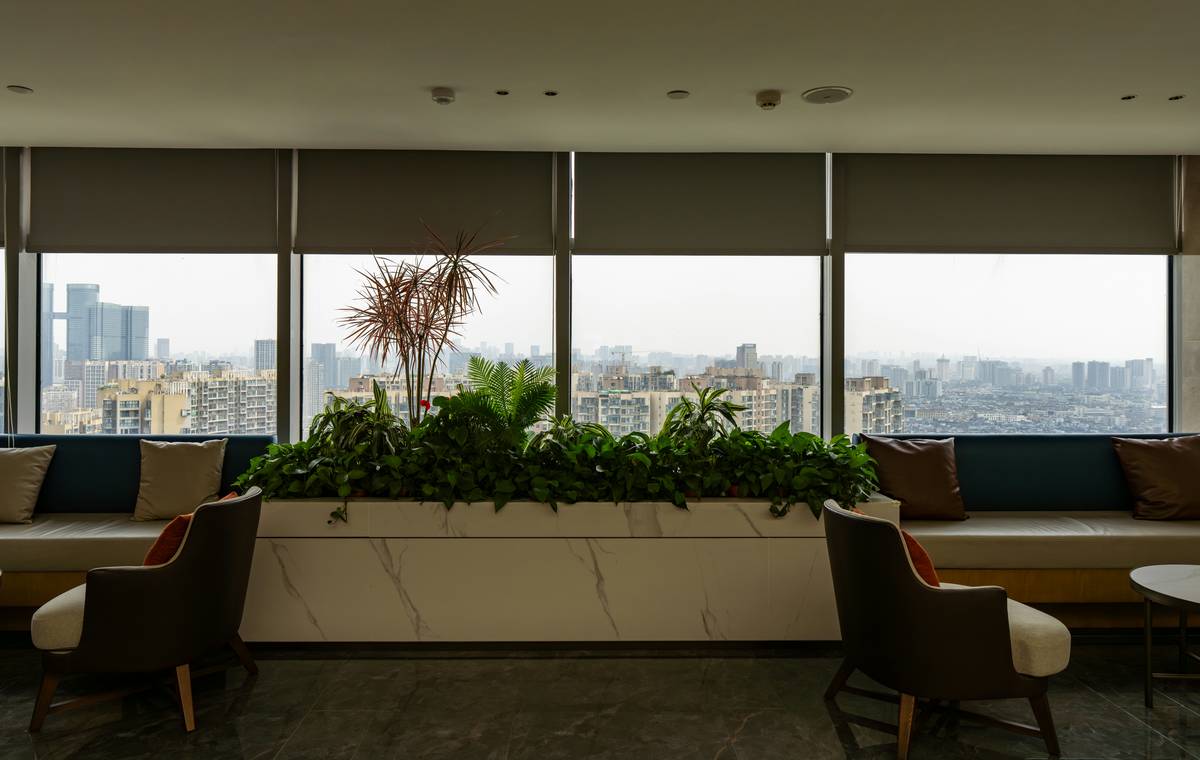 Urban Apartment Rentals: Your Smart, Stylish & Stress-Free City Escape (Without the Hotel Markup)